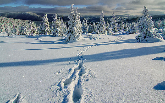 Jak na Nový rok, tak po celý rok. Vystoupejte za nejkrásnějšími výhledy Česka
