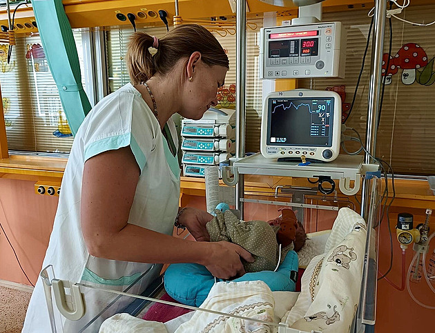 Dívka porodila v koupelně a hodila dítě do popelnice, případ začne řešit soud