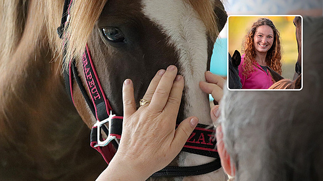 Koně pacientům něco předávají. Až z toho mrazí, říká hipoterapeutka