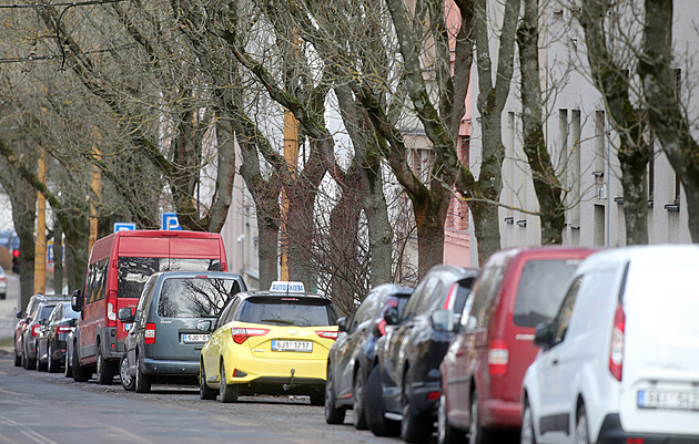 Jihlava rozšíří ulici, nechá kvůli tomu vykácet alej šedesátiletých jasanů