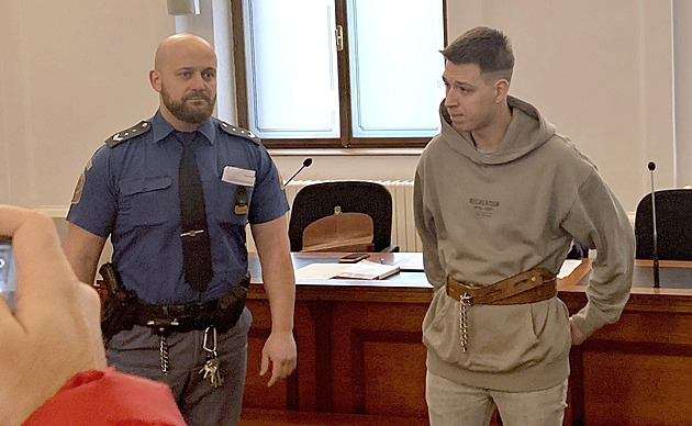 Hlasy mi řekly, ať někoho zabiju. Muž pobodal náhodnou oběť, dostal 17 let