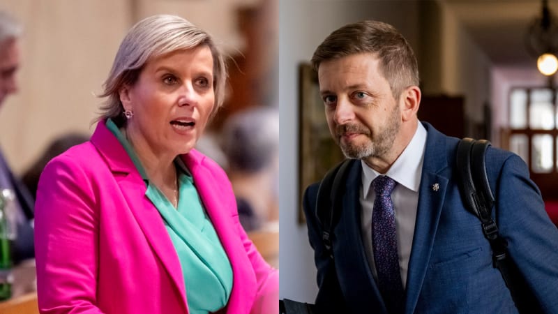 Činnost pro cizí moc? Musíme to zpřesnit, řekla Vildumetzová. Rakušan nález soudu ocenil