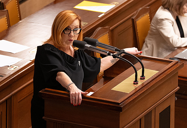 Váš rozpočtu je nezákonný, vyčítá Schillerové opozice. Vadí jí i škrt u obrany