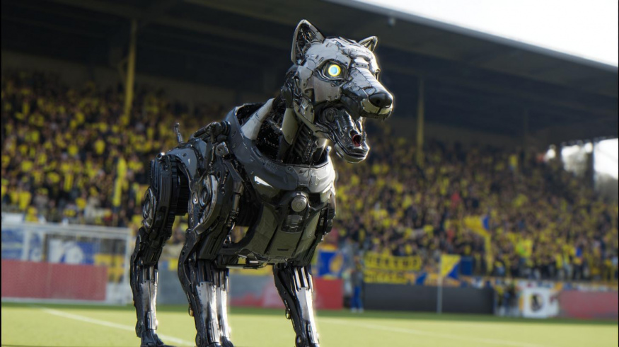 Neštěká, ale natáčí: na MS ve fotbale budou dohlížet robotičtí psi