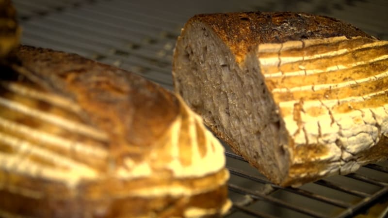 Prima pekařství: Vůně másla a kvásku v centru Plzně. Kde si dopřát nejlepší chléb či bagetu?