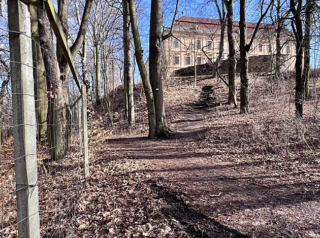 Lesníci zpřístupní lidem oboru u Jirkova. Současný stav je neudržitelný, říkají