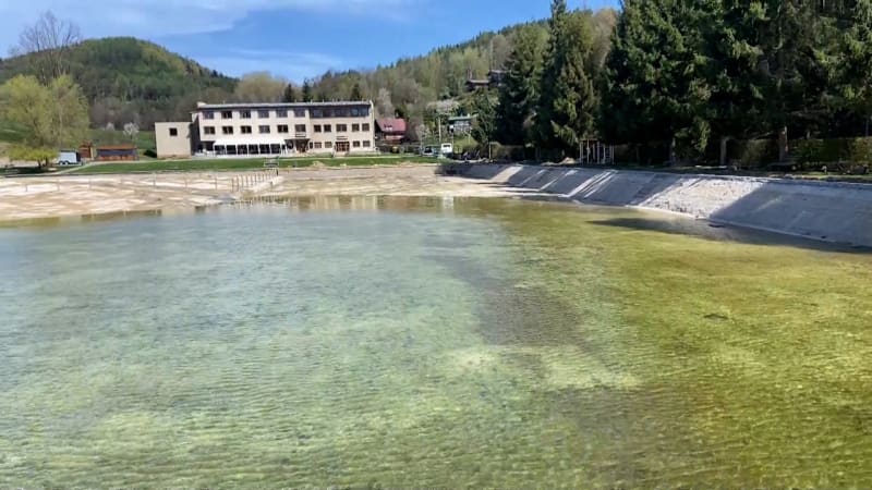 Koupaliště na Šumpersku si oblíbily chráněné ropuchy. Místní se bojí, že si letos nezaplavou