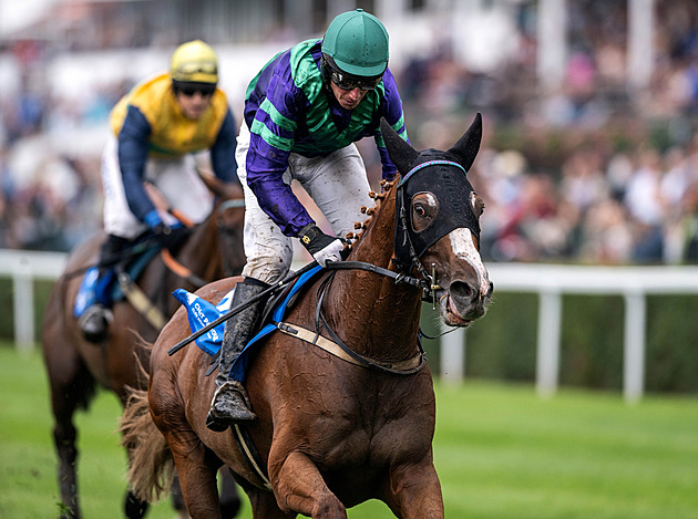 Prožíval triumfy i porážky. Vítěz Velké pardubické Sexy Lord podlehl kolice