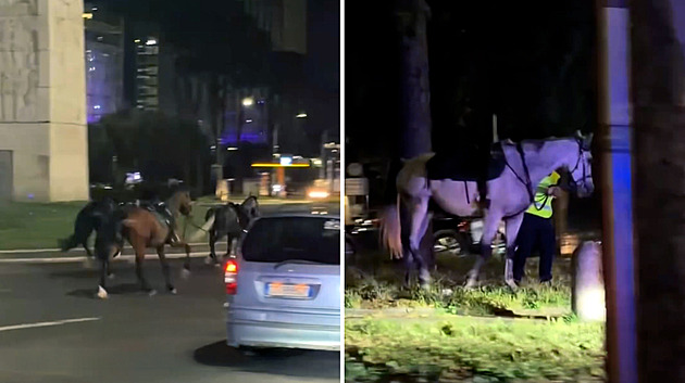 Římanům se při nácviku vojenské přehlídky splašili koně. Zranili dvě ženy