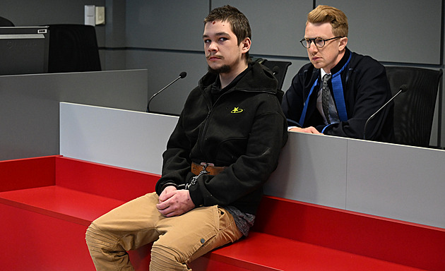 Vražedné bodnutí do krku kvůli urážce si naplánoval. Mladík u soudu prohlásil vinu