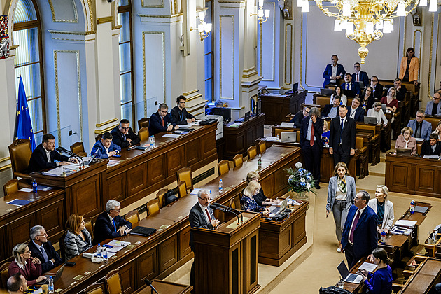 Poslanci mají projednávat rozšíření trestného činu neplacení výživného